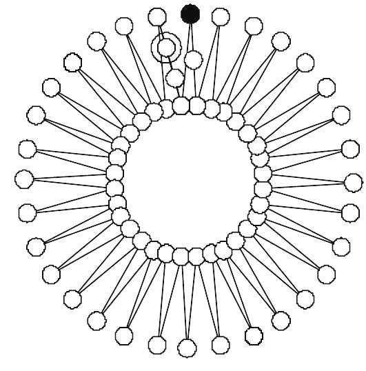 product-50-51 2